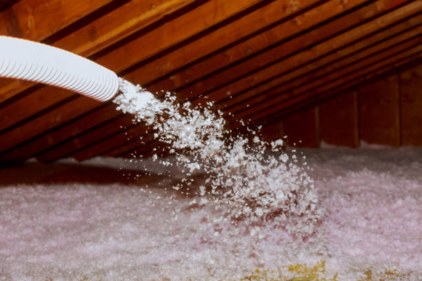 Best Residential Insulation in Northlake, SC