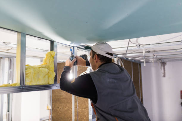 Types of Insulation We Offer in Northlake, SC