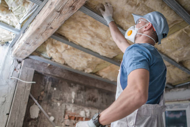 Best Commercial Insulation in Northlake, SC