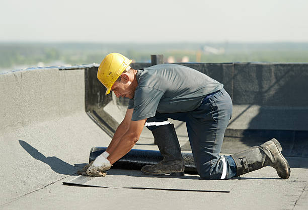 Best Eco-Friendly Insulation in Northlake, SC